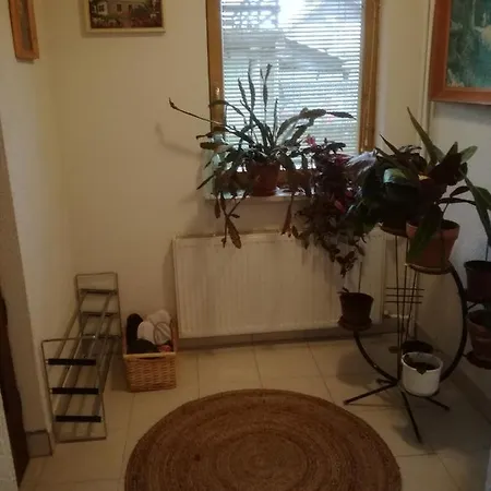 Zora Apartmant *